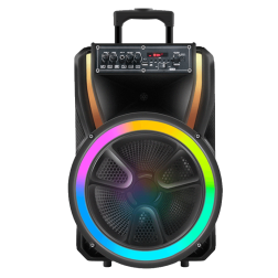 Board-x Speaker Karaoke ES-13S-12 12 Inch, 1 Microphone