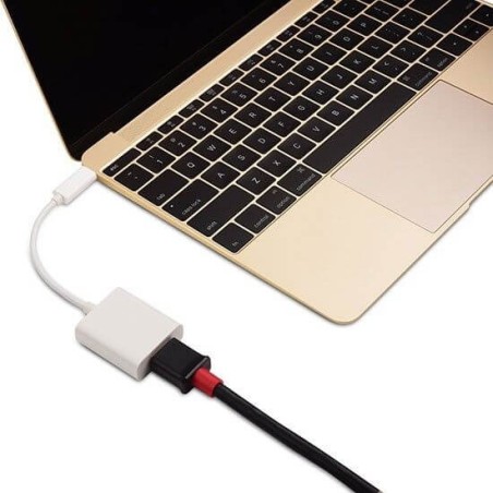 Board-x Converter From Usb-C male To Hdmi Female