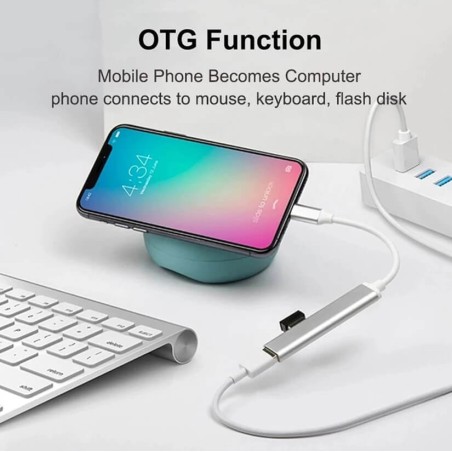 Board-x Hub Usb C Male To 4 Ports Usb A Female
