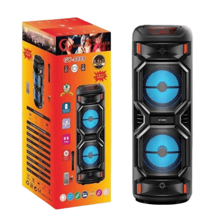 Board-x Speaker Karaoke GY-8809 2x8.5 Inch, 1 Microphone