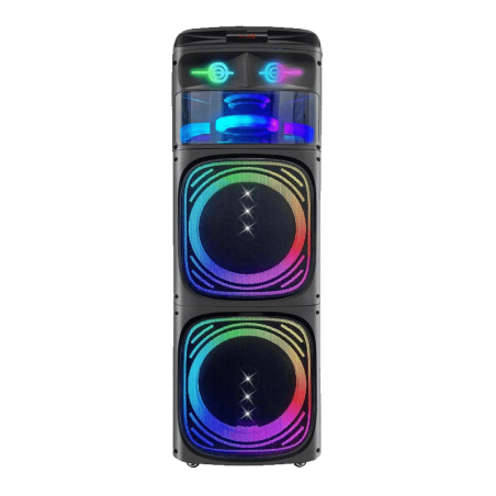 Board-x Speaker Karaoke DR-1229 2x12 Inch, 2 Microphones