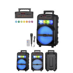 Board-x Speaker Karaoke JBR-007 8 Inch, 1 Microphone