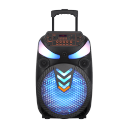 Board-x Speaker Karaoke JBR-1203 12 Inch, 1 Microphone
