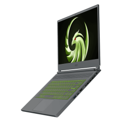 Msi Laptop Delta Amd ryzen 7 5800H 16Gb Memory 1TB Nvme Radeon RZ6700M 10Gb Graphics 15.6" Fhd 240Hz Wind 10 15001